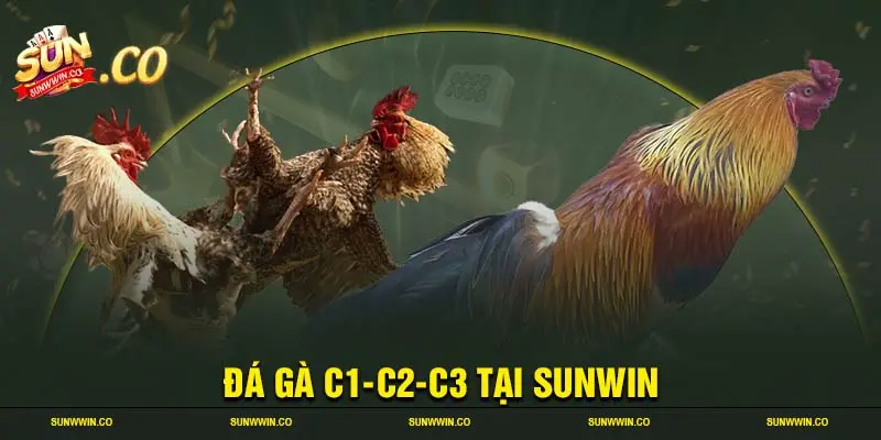 Đá gà c1-c2-c3 tại sunwin