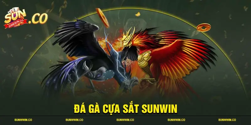 Đá gà cựa sắt sunwin