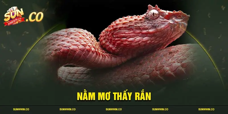 Nằm mơ thấy rắn