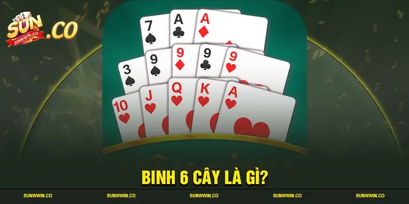 Binh 6 cây là gì?