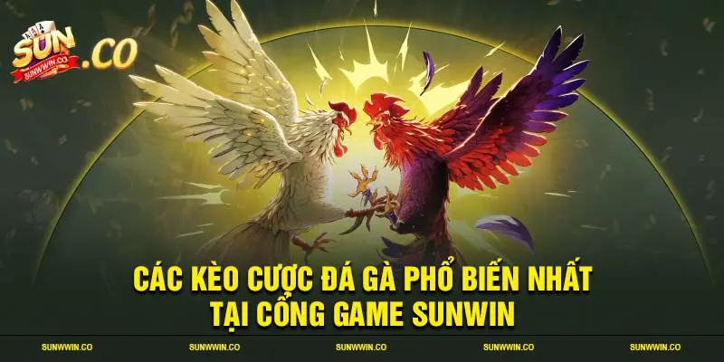 Các kèo cược đá gà phổ biến nhất tại cổng game SUNWIN