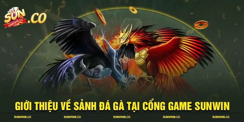 Giới thiệu về sảnh đá gà tại cổng game SUNWIN