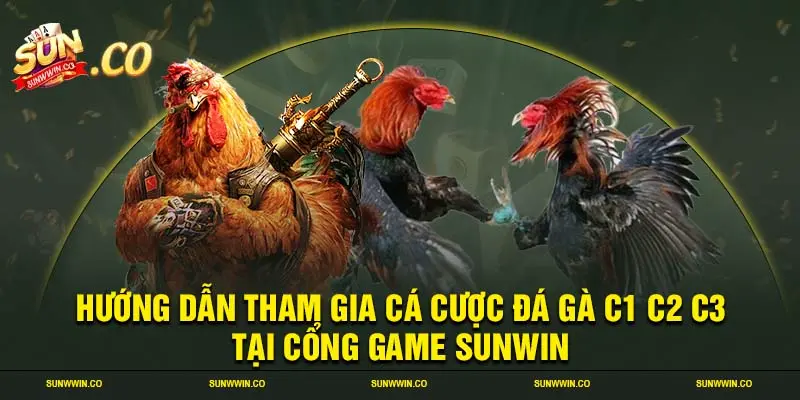 Hướng dẫn tham gia cá cược đá gà c1 c2 c3 tại cổng game SUNWIN