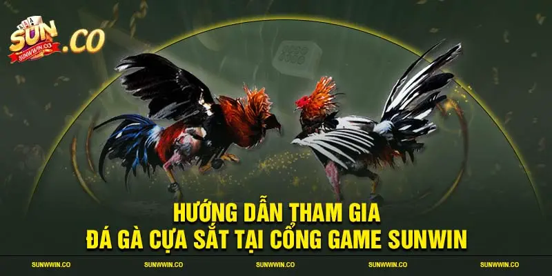 Hướng dẫn tham gia đá gà cựa sắt tại cổng game SUNWIN