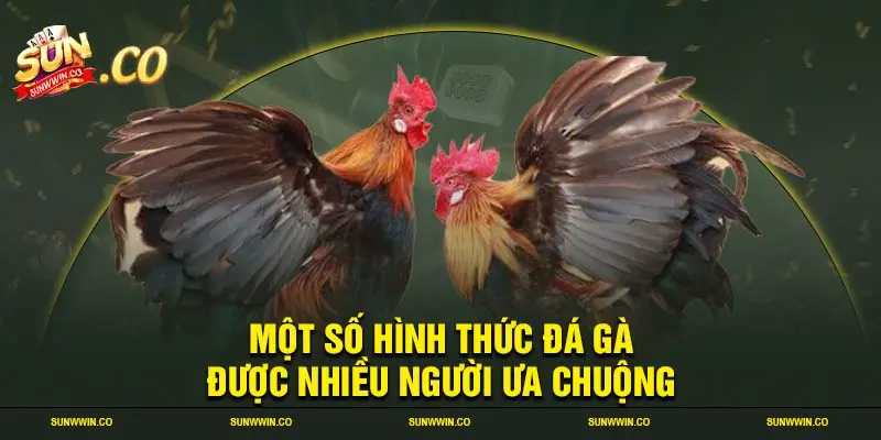 Một số hình thức đá gà được nhiều người ưa chuộng